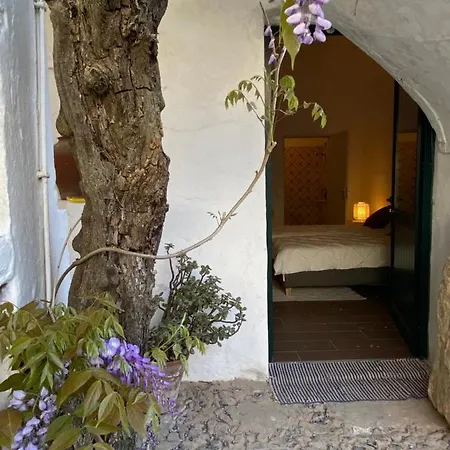 Ferienwohnung Casa Pereirinha \ Pateo House Vidigueira Exterior foto