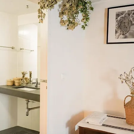 Ferienwohnung Casa Pereirinha \ Pateo House Vidigueira Exterior foto